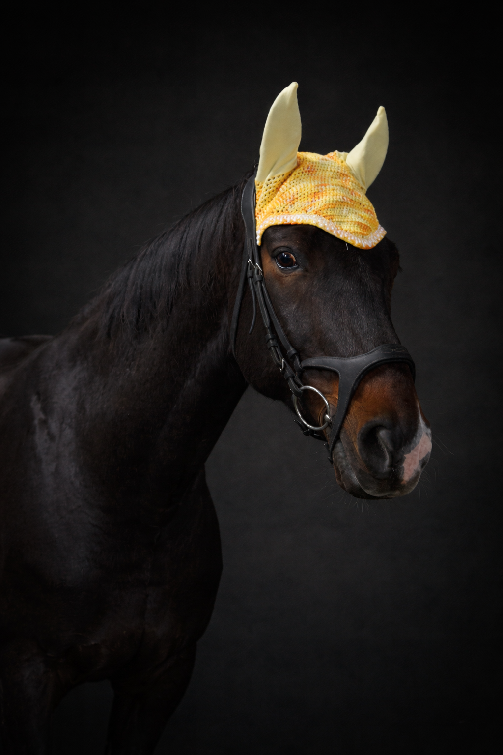 Alexandra Classic - Pineapple