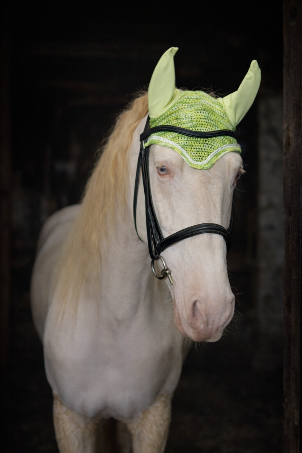 Cordier Classic - Pistachio