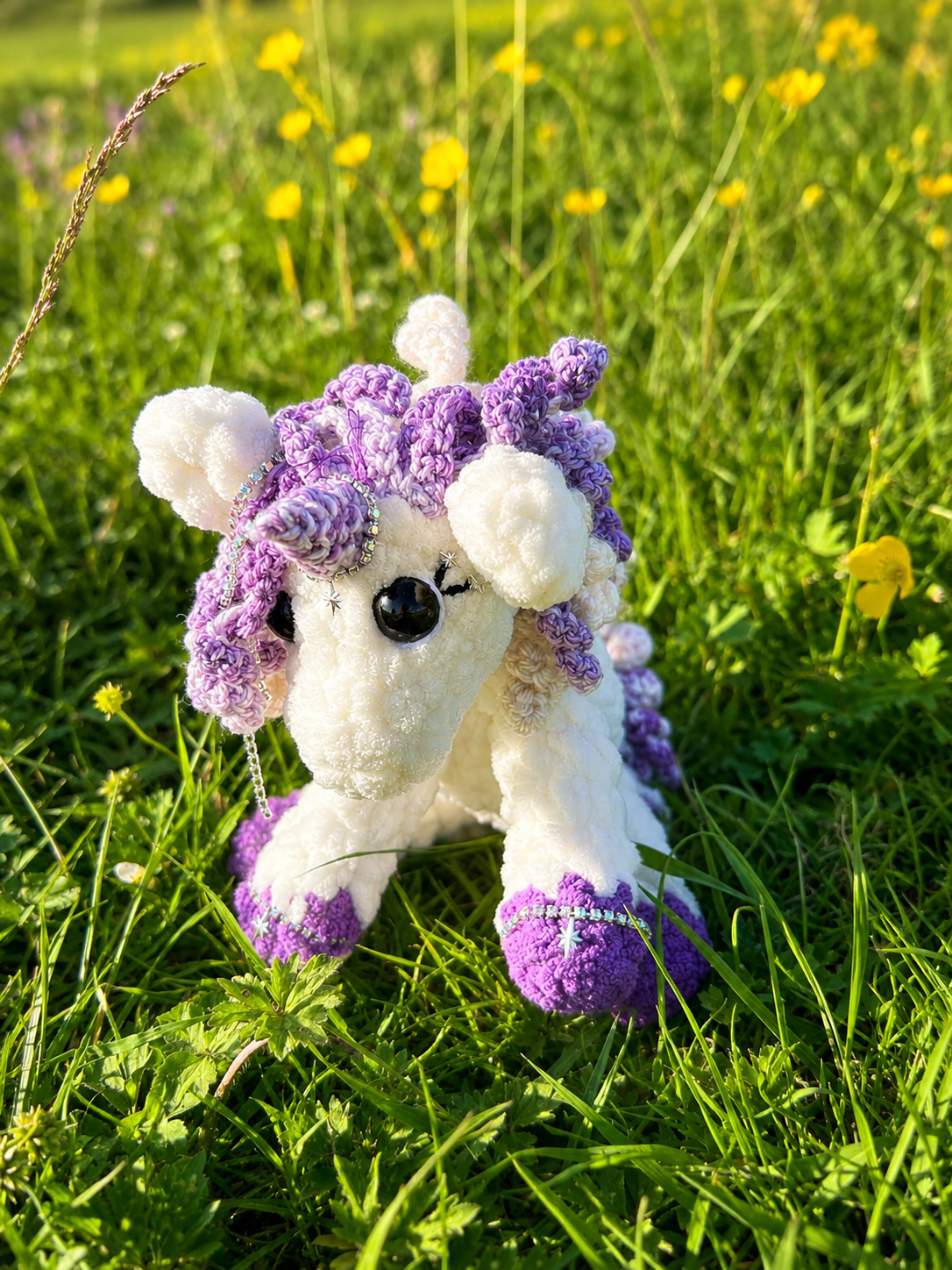 Astra – The Wish Pony