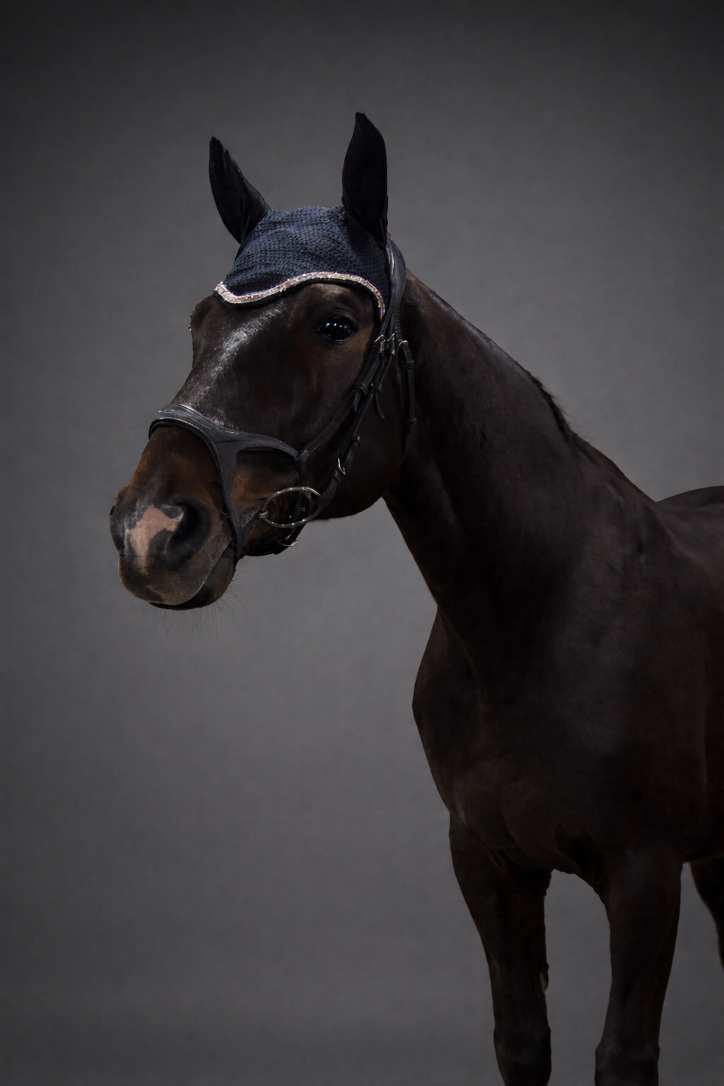 Alexandra Classic - Eclipse Obsidian