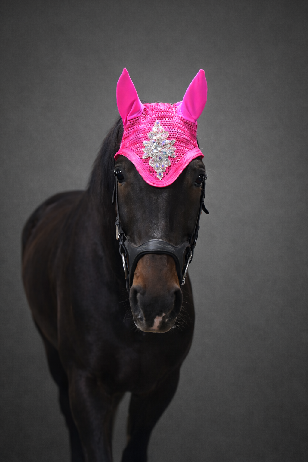 Alexandra Classic - Veloura Valentine
