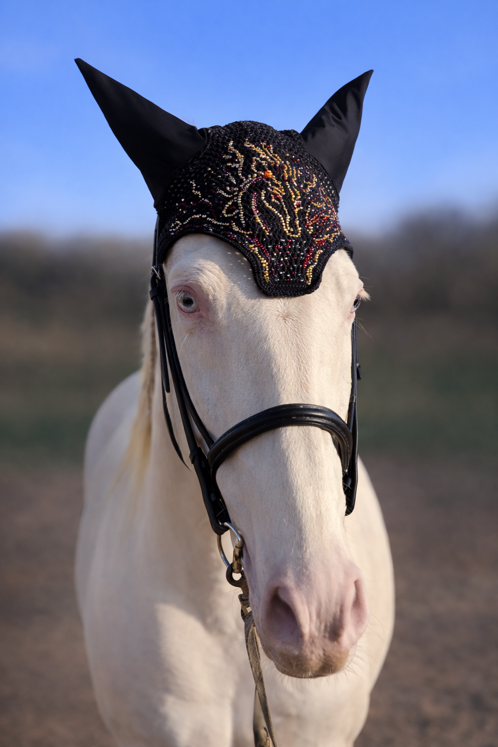 Cordier Classic - Ember